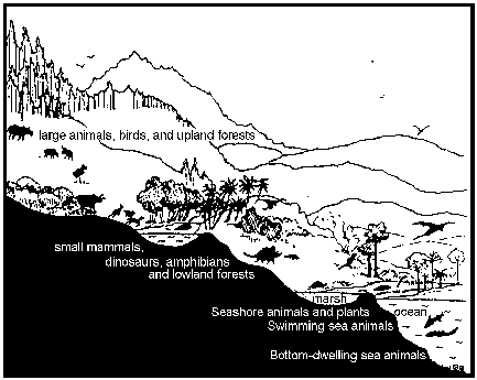 Harold Coffin's diagrammatic presentation of ecological zonation
